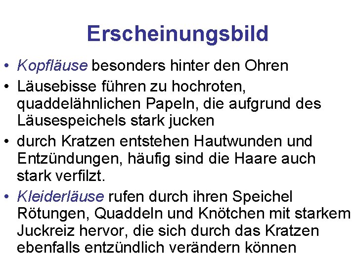 Erscheinungsbild • Kopfläuse besonders hinter den Ohren • Läusebisse führen zu hochroten, quaddelähnlichen Papeln,