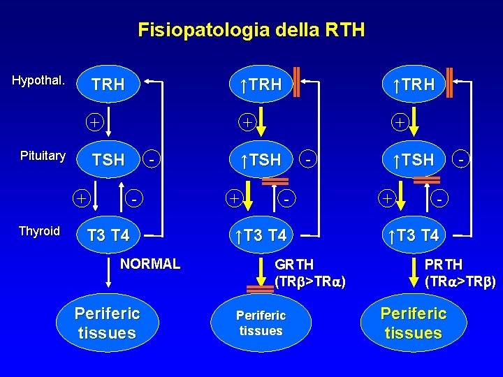Fisiopatologia della RTH Hypothal. Pituitary TRH ↑TRH + + Thyroid - TSH - T Fisiopatologia della RTH Hypothal. Pituitary TRH ↑TRH + + Thyroid - TSH - T
