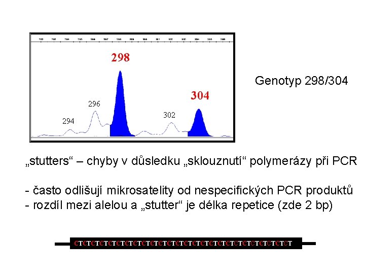 298 Genotyp 298/304 296 294 302 „stutters“ – chyby v důsledku „sklouznutí“ polymerázy při