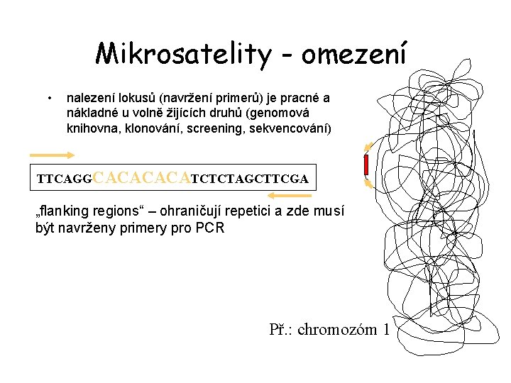 Mikrosatelity - omezení • nalezení lokusů (navržení primerů) je pracné a nákladné u volně