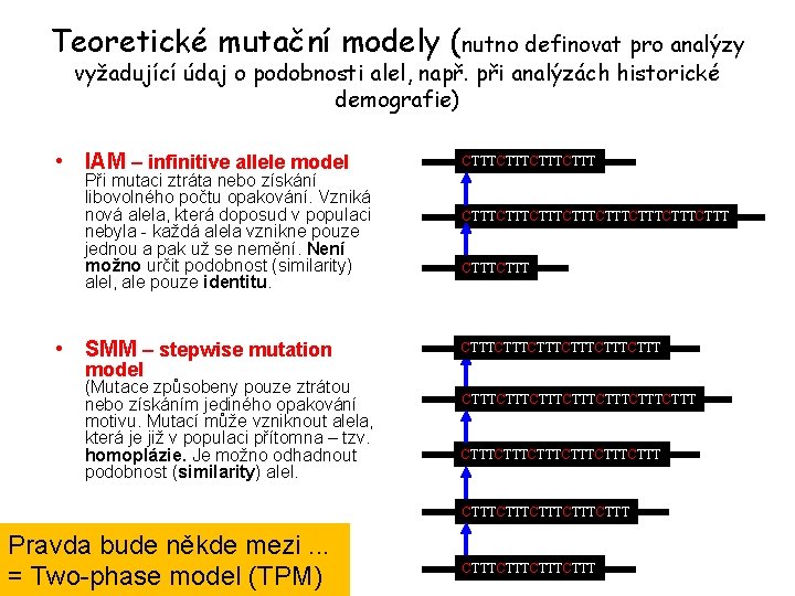 Teoretické mutační modely (nutno definovat pro analýzy vyžadující údaj o podobnosti alel, např. při