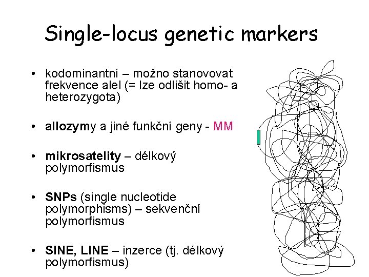 Single-locus genetic markers • kodominantní – možno stanovovat frekvence alel (= lze odlišit homo-