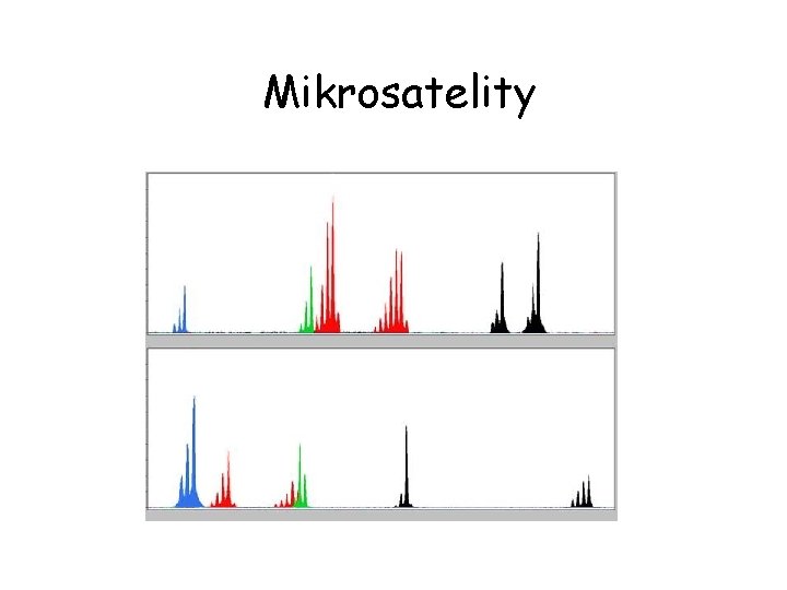 Mikrosatelity 