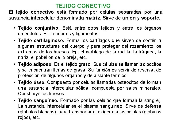 TEJIDO CONECTIVO El tejido conectivo está formado por células separadas por una sustancia intercelular