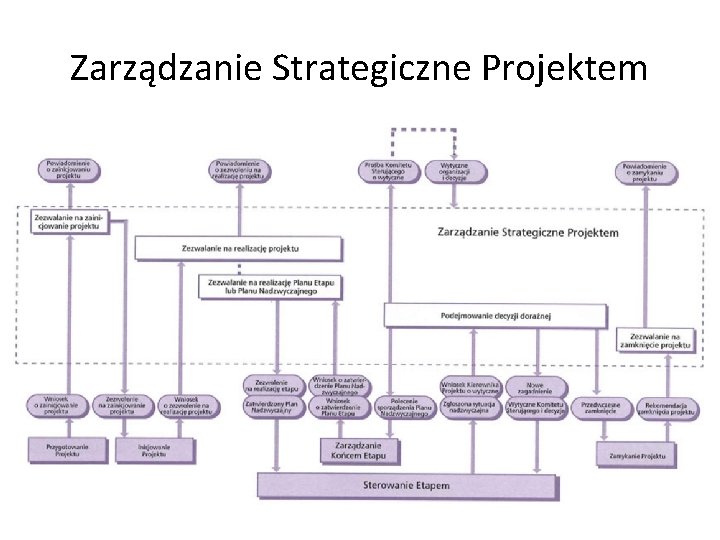 Zarządzanie Strategiczne Projektem 