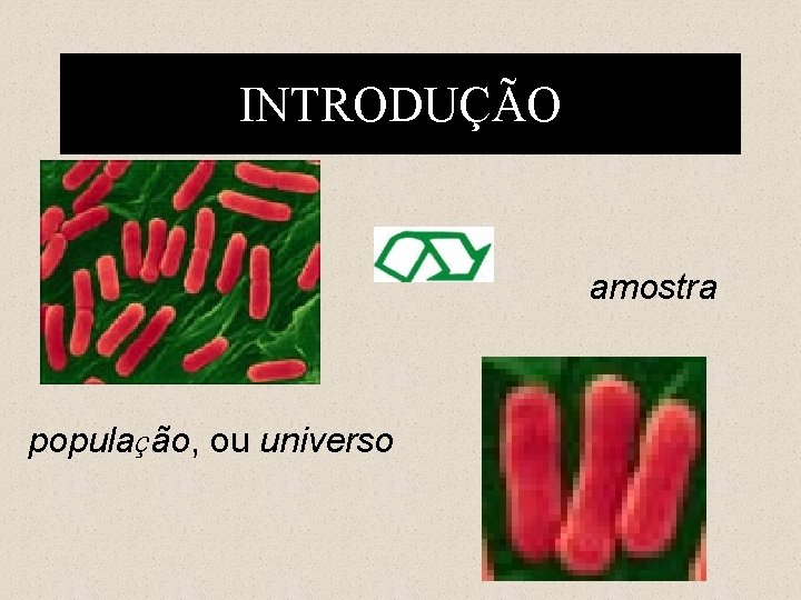 INTRODUÇÃO amostra população, ou universo 