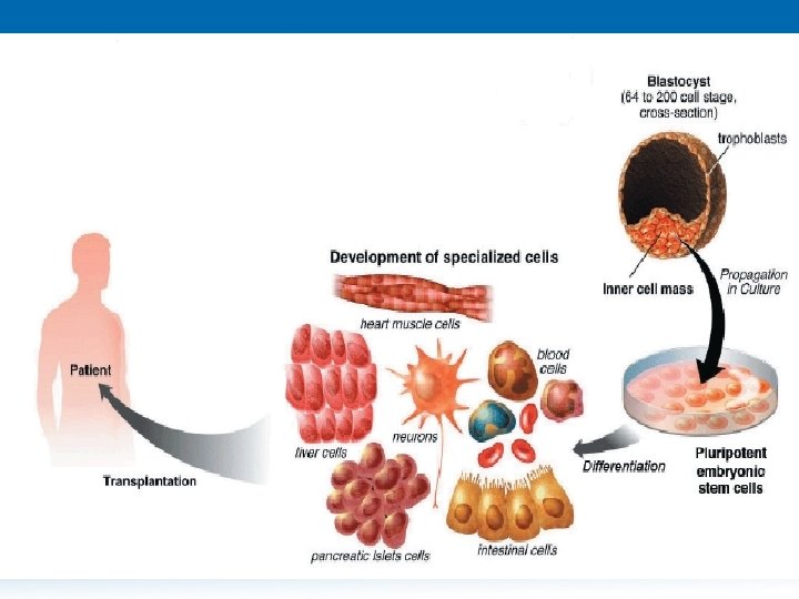 11/26/2020 Dr. Hariom Yadav 11/26/2020 Dr. Hariom Yadav