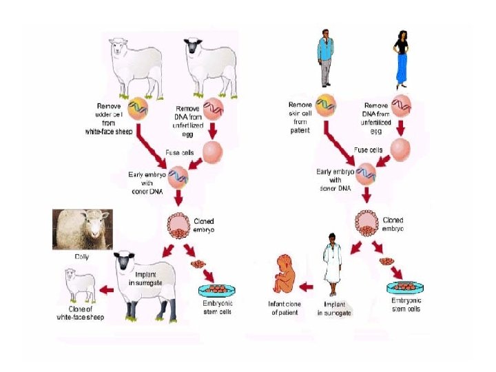11/26/2020 Dr. Hariom Yadav 11/26/2020 Dr. Hariom Yadav
