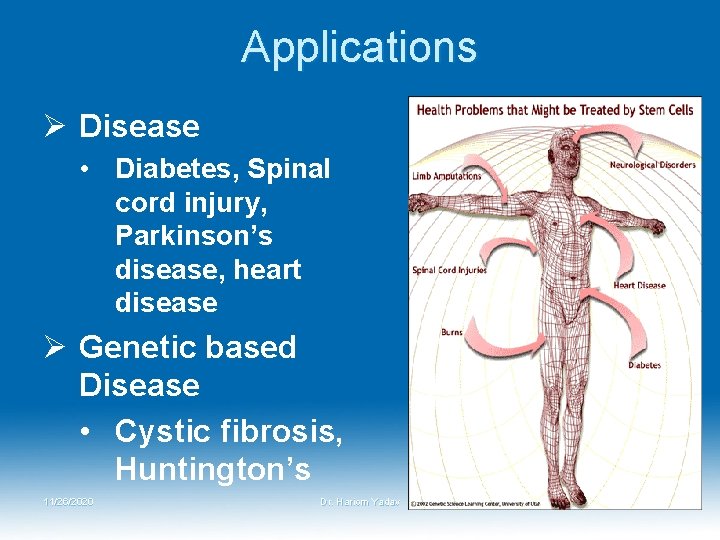 Applications Ø Disease • Diabetes, Spinal cord injury, Parkinson’s disease, heart disease Ø Genetic Applications Ø Disease • Diabetes, Spinal cord injury, Parkinson’s disease, heart disease Ø Genetic