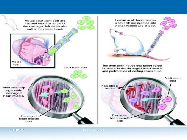 11/26/2020 Dr. Hariom Yadav 