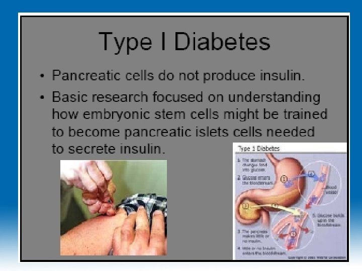 11/26/2020 Dr. Hariom Yadav 11/26/2020 Dr. Hariom Yadav