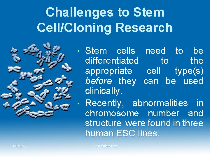 Challenges to Stem Cell/Cloning Research Stem cells need to be differentiated to the appropriate