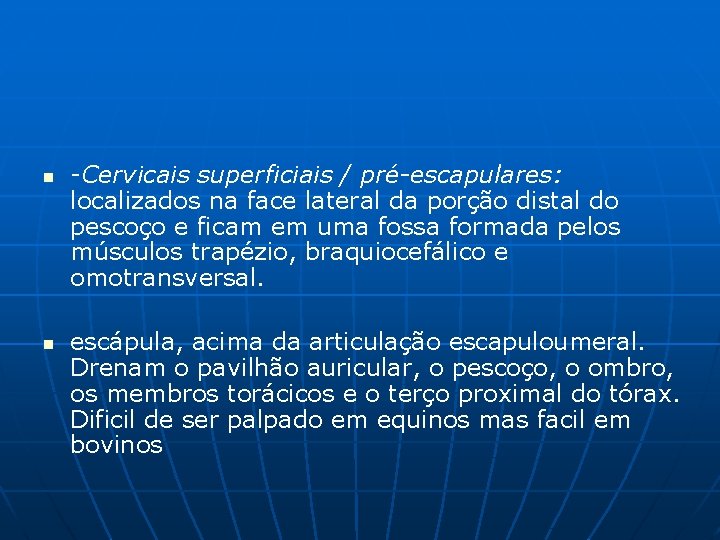 n n -Cervicais superficiais / pré-escapulares: localizados na face lateral da porção distal do