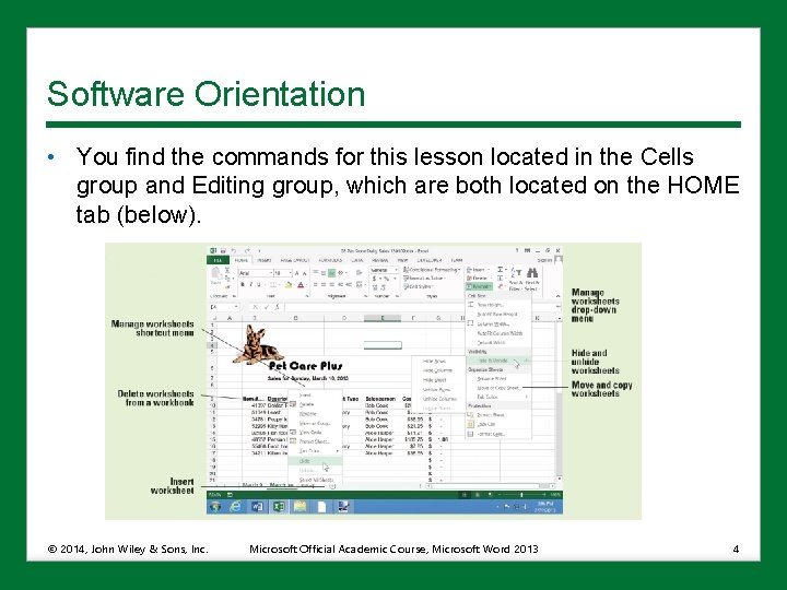 Software Orientation • You find the commands for this lesson located in the Cells