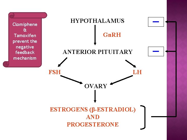 HYPOTHALAMUS Clomiphene & Tamoxifen prevent the negative feedback mechanism Gn. RH ANTERIOR PITUITARY FSH