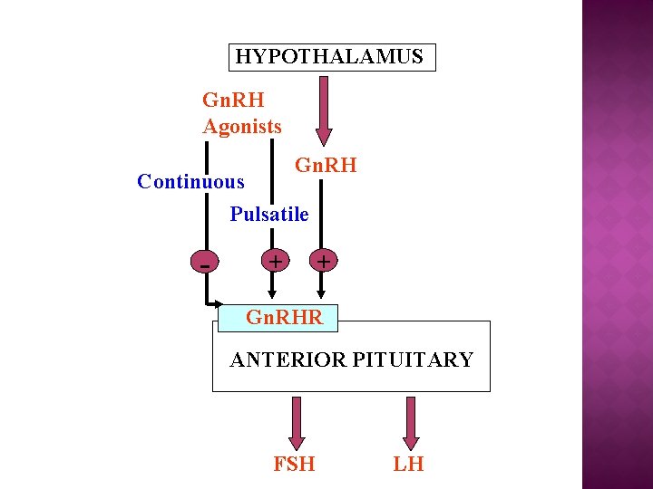 HYPOTHALAMUS Gn. RH Agonists Gn. RH Continuous Pulsatile - + + Gn. RHR ANTERIOR