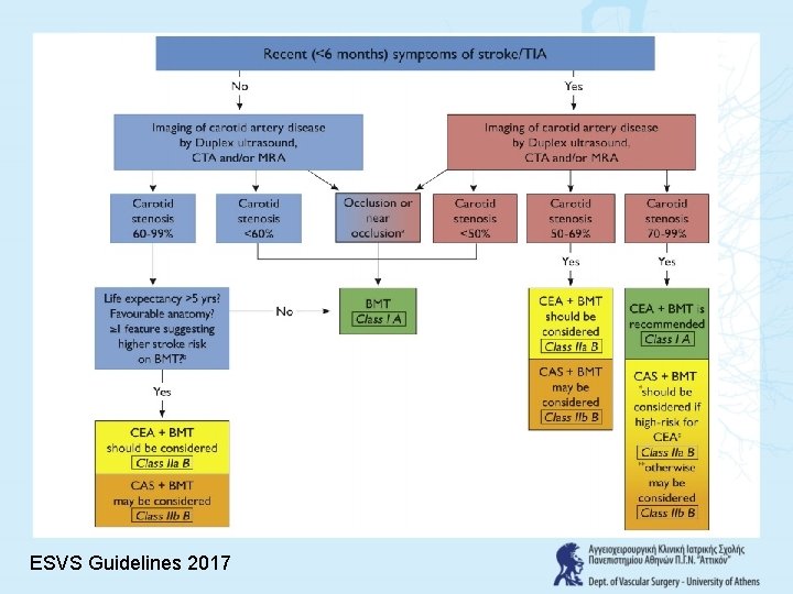 ESVS Guidelines 2017 