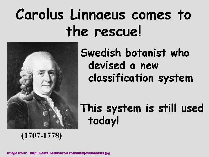 Carolus Linnaeus comes to the rescue! Swedish botanist who devised a new classification system