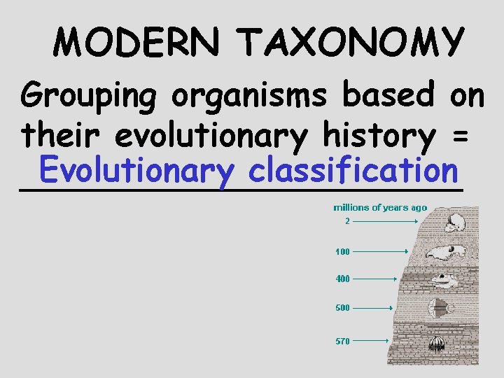 MODERN TAXONOMY Grouping organisms based on their evolutionary history = Evolutionary classification ___________ 