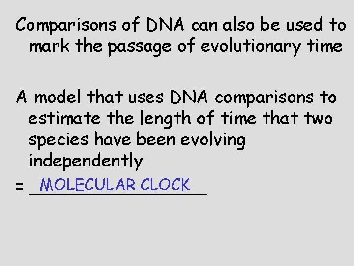 Comparisons of DNA can also be used to mark the passage of evolutionary time