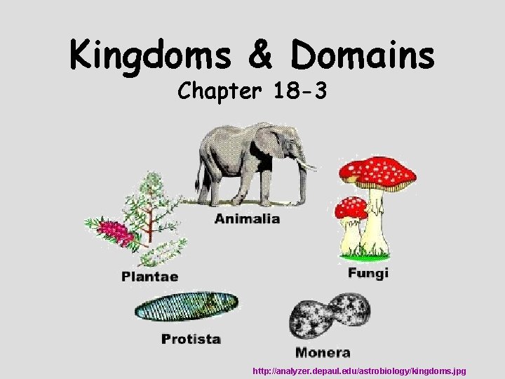 Kingdoms & Domains Chapter 18 -3 http: //analyzer. depaul. edu/astrobiology/kingdoms. jpg 