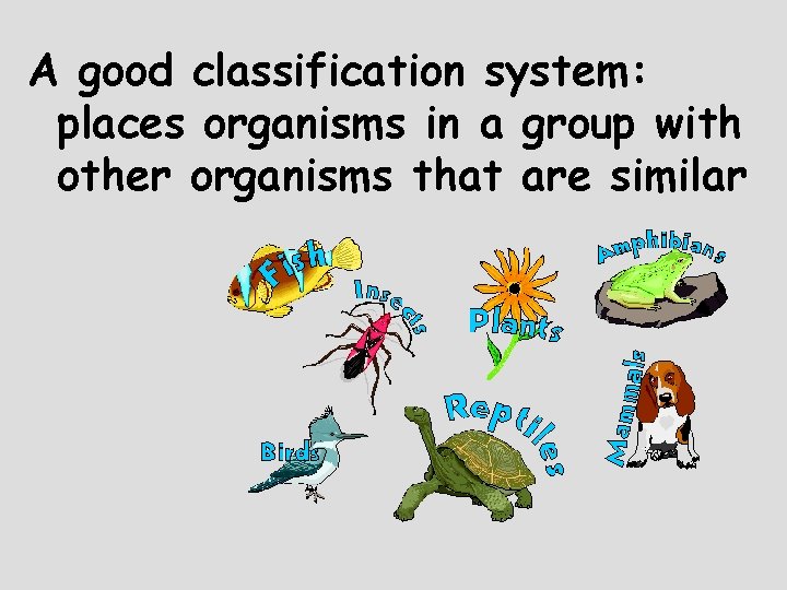 A good classification system: places organisms in a group with other organisms that are