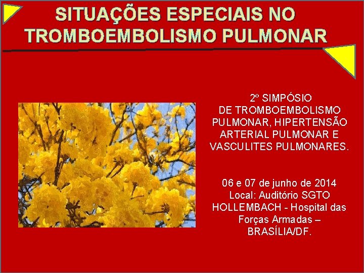SITUAÇÕES ESPECIAIS NO TROMBOEMBOLISMO PULMONAR 2º SIMPÓSIO DE TROMBOEMBOLISMO PULMONAR, HIPERTENSÃO ARTERIAL PULMONAR E