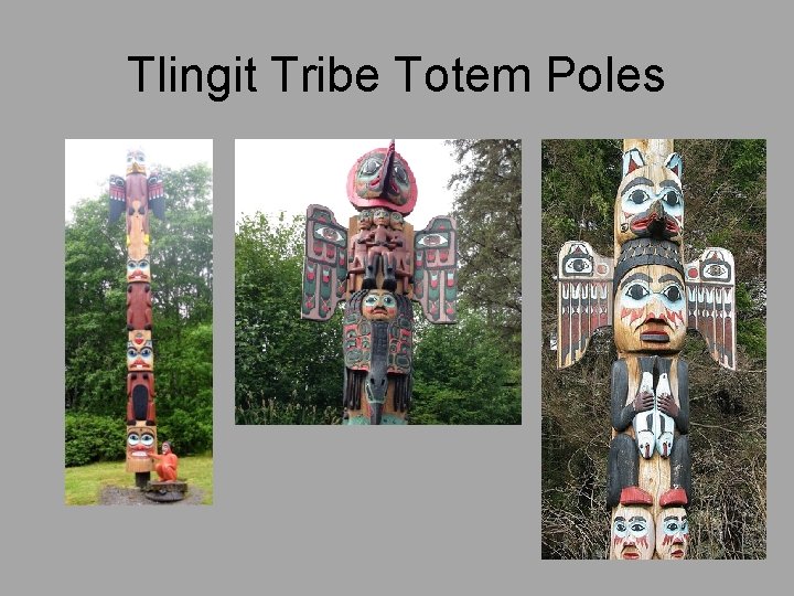 Tlingit Tribe Totem Poles 