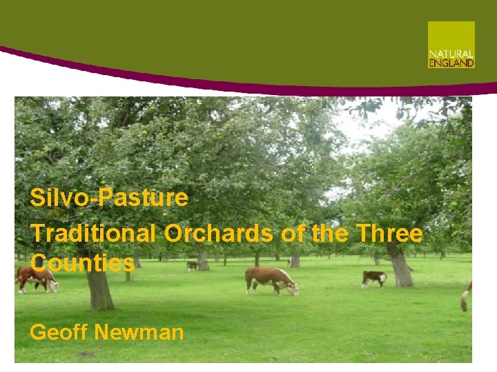 Silvo-Pasture Traditional Orchards of the Three Counties Geoff Newman Silvo-Pasture Traditional Orchards of the Three Counties Geoff Newman
