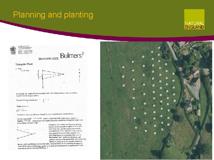 Planning and planting Planning and planting