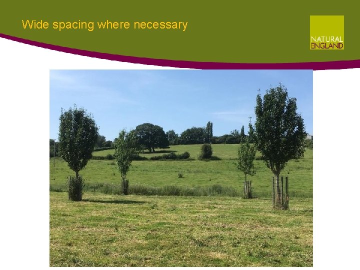 Wide spacing where necessary Wide spacing where necessary
