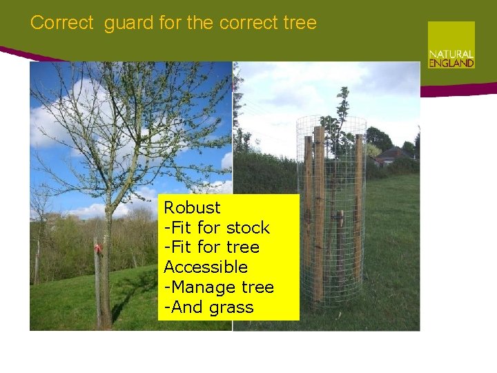 Correct guard for the correct tree Robust -Fit for stock -Fit for tree Accessible Correct guard for the correct tree Robust -Fit for stock -Fit for tree Accessible