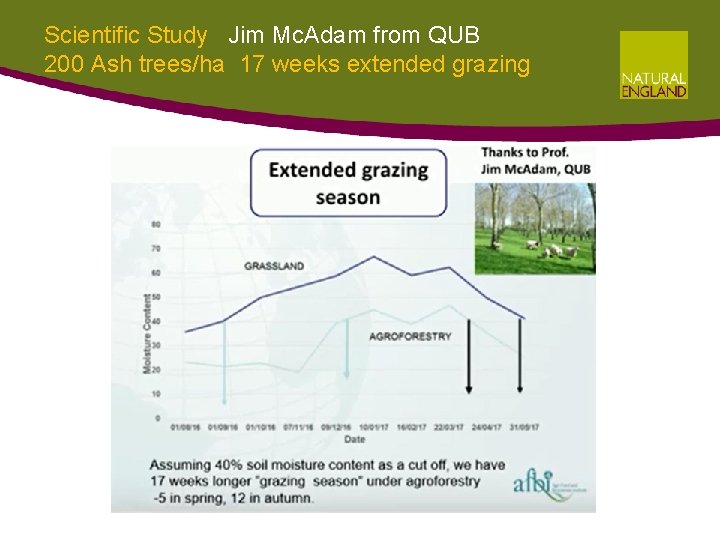 Scientific Study Jim Mc. Adam from QUB 200 Ash trees/ha 17 weeks extended grazing Scientific Study Jim Mc. Adam from QUB 200 Ash trees/ha 17 weeks extended grazing