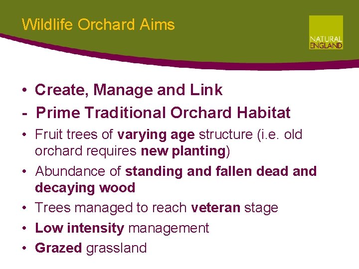 Wildlife Orchard Aims • Create, Manage and Link - Prime Traditional Orchard Habitat • Wildlife Orchard Aims • Create, Manage and Link - Prime Traditional Orchard Habitat •