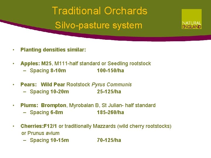 Traditional Orchards Silvo-pasture system • Planting densities similar: • Apples: M 25, M 111 Traditional Orchards Silvo-pasture system • Planting densities similar: • Apples: M 25, M 111