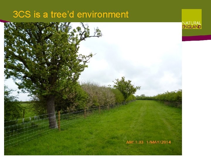 3 CS is a tree’d environment 3 CS is a tree’d environment