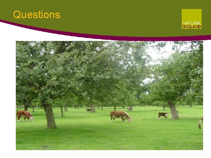 Questions Questions
