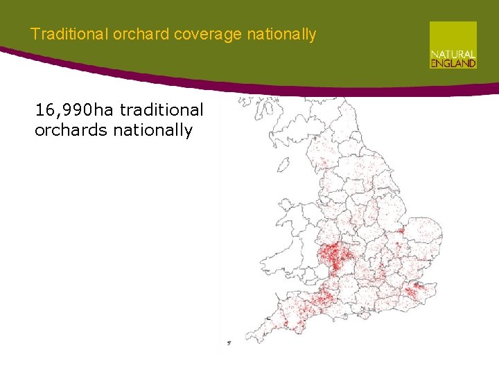 Traditional orchard coverage nationally 16, 990 ha traditional orchards nationally Traditional orchard coverage nationally 16, 990 ha traditional orchards nationally