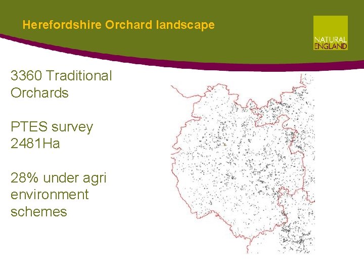 Herefordshire Orchard landscape 3360 Traditional Orchards PTES survey 2481 Ha 28% under agri environment Herefordshire Orchard landscape 3360 Traditional Orchards PTES survey 2481 Ha 28% under agri environment