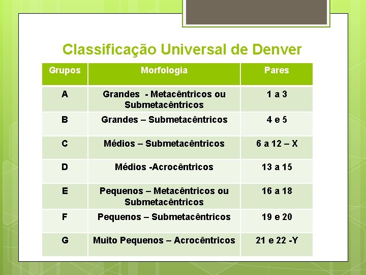 Classificação Universal de Denver Grupos Morfologia Pares A Grandes - Metacêntricos ou Submetacêntricos 1