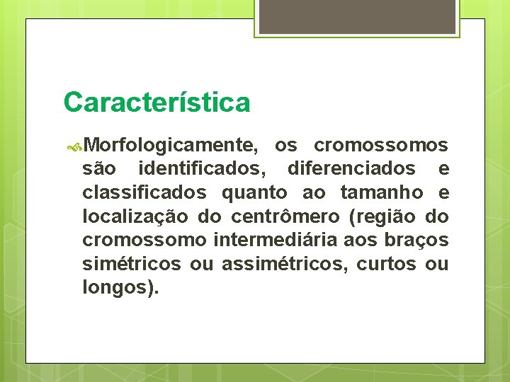 Característica Morfologicamente, os cromossomos são identificados, diferenciados e classificados quanto ao tamanho e localização