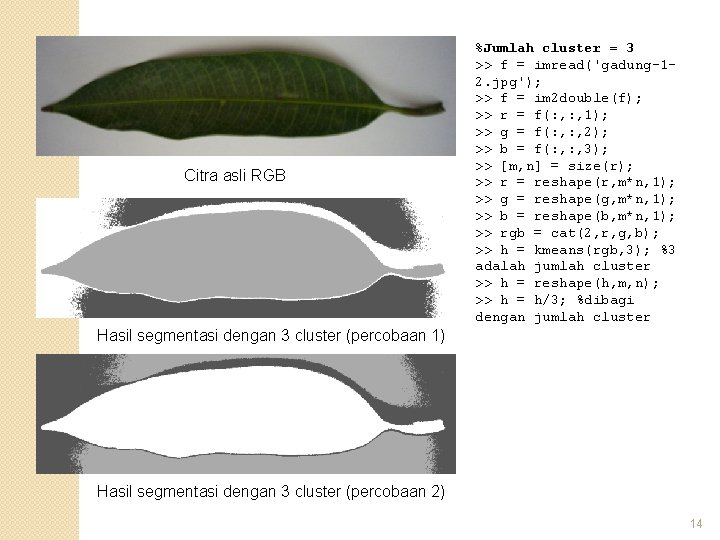 Citra asli RGB %Jumlah cluster = 3 >> f = imread('gadung-12. jpg'); >> f