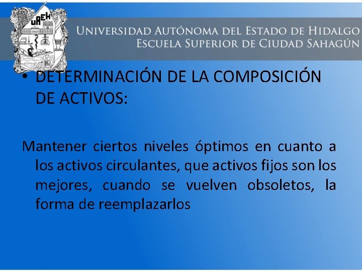  • DETERMINACIÓN DE LA COMPOSICIÓN DE ACTIVOS: Mantener ciertos niveles óptimos en cuanto