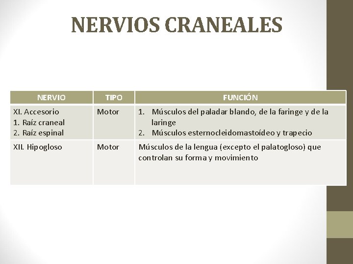 NERVIOS CRANEALES NERVIO TIPO FUNCIÓN XI. Accesorio 1. Raíz craneal 2. Raíz espinal Motor