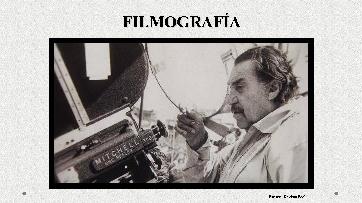 FILMOGRAFÍA Fuente: Revista Feel 