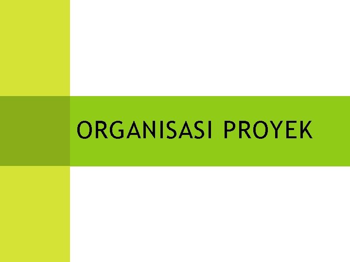 ORGANISASI PROYEK 