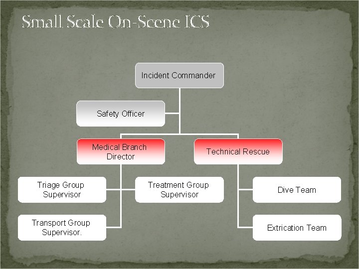 Small Scale On-Scene ICS Incident Commander Safety Officer Medical Branch Director Triage Group Supervisor