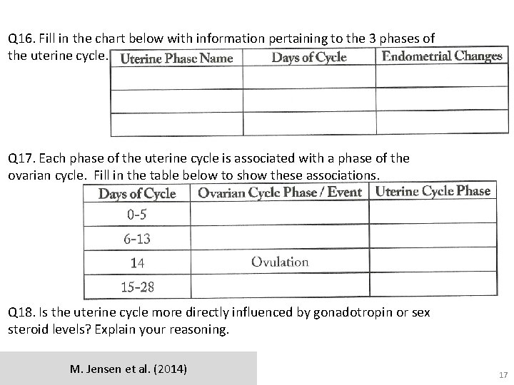 Q 16. Fill in the chart below with information pertaining to the 3 phases