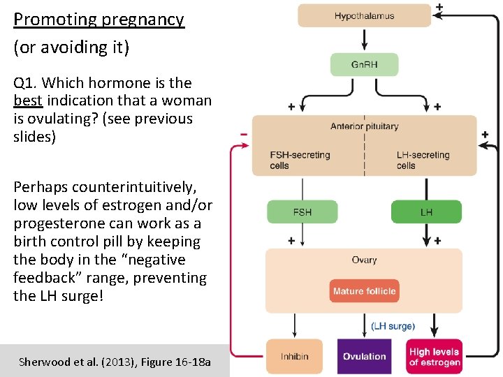 Promoting pregnancy (or avoiding it) Q 1. Which hormone is the best indication that