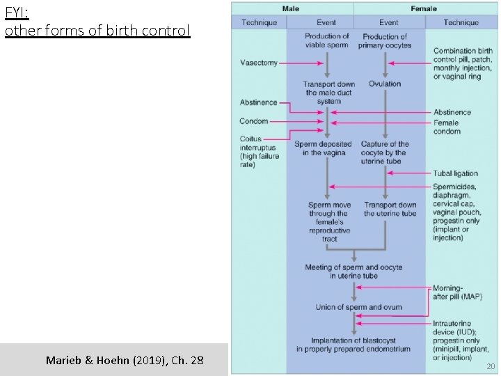 FYI: other forms of birth control Marieb & Hoehn (2019), Ch. 28 20 